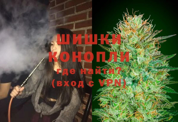 бошки Аркадак