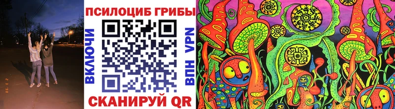 shop официальный сайт  Тайшет  Галлюциногенные грибы Psilocybe 
